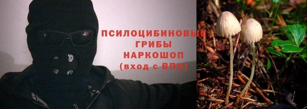 каннабис Кодинск